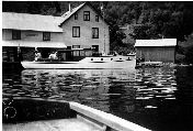 Djadjanja at Kvams&oslash;y