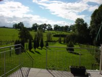 The back garden